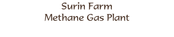 Surin Farm Methane Gas Plant